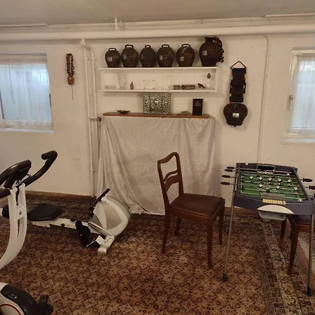 Elegant-terraced-house-with-bikes-near-the-lake-children-at-least-6-a-old *