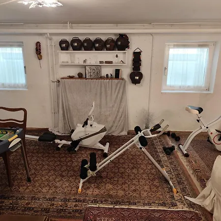 Elegant-terraced-house-with-bikes-near-the-lake-children-at-least-6-a-old * Starnberg